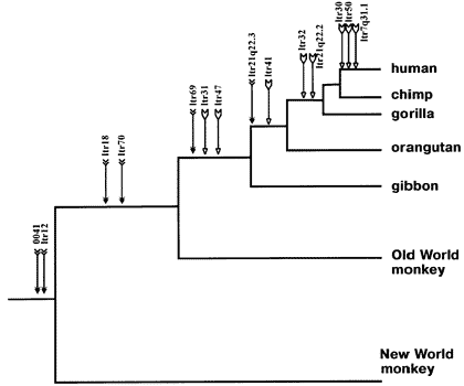 [Figure4.4.1]